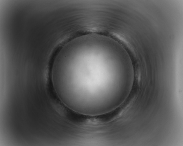 X0000089380591200706151206