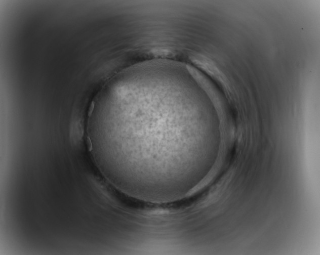 X0000089380593200706151206