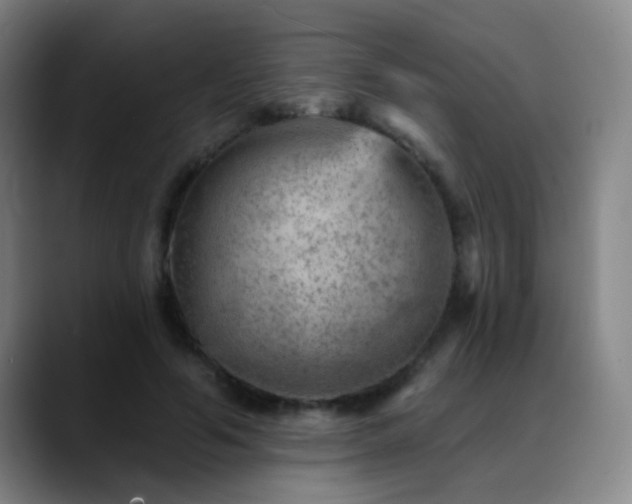 X0000089380594200706151206