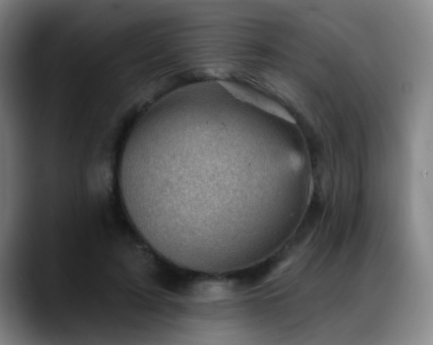 X0000089380595200706151206