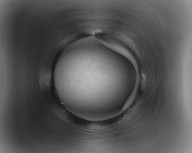 X0000089380596200706151206