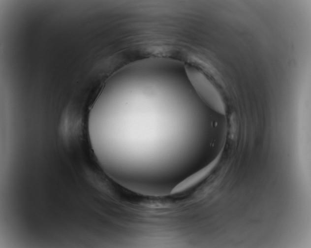 X0000089380597200706151206