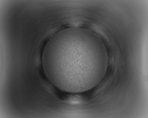 X0000089380599200706151206