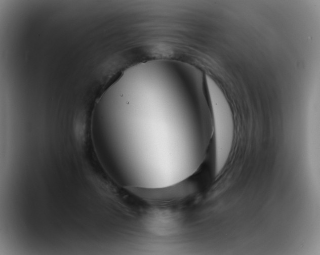 X0000089380600200706151205