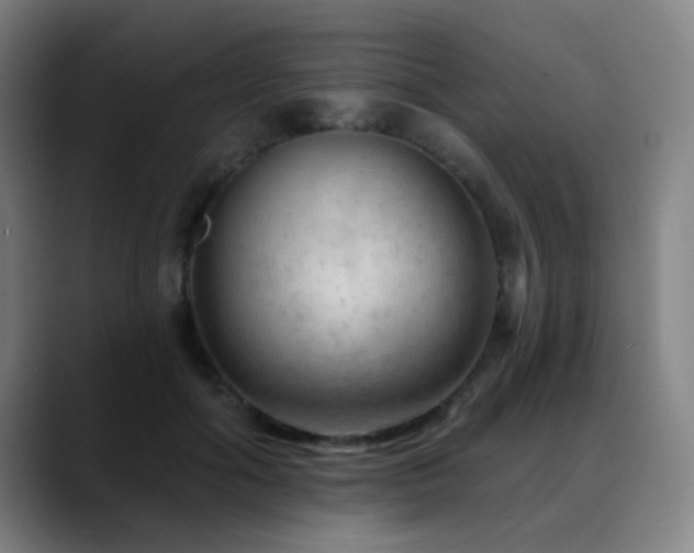 X0000089380602200706151205