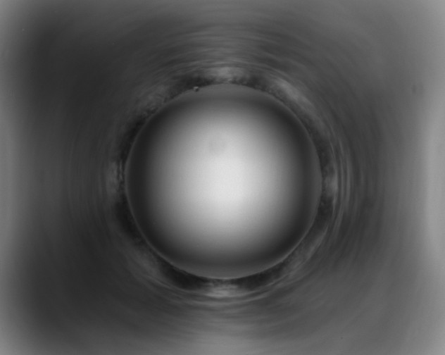 X0000089380605200706151205
