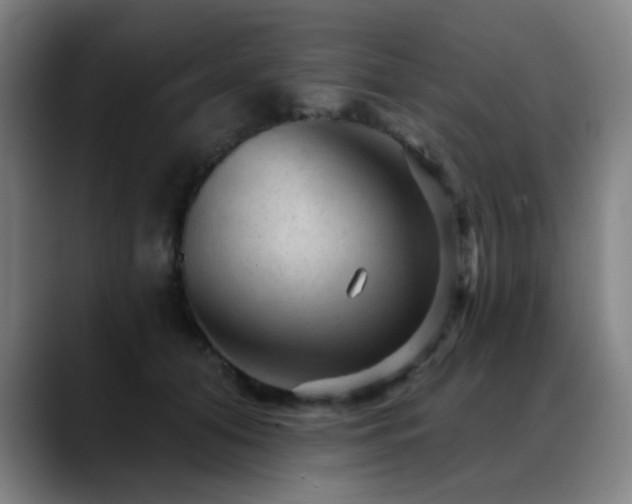 X0000089380608200706151205