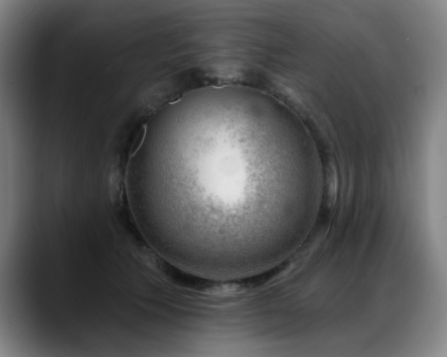 X0000089380609200706151205