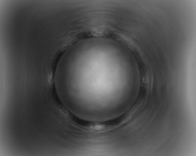 X0000089380610200706151205