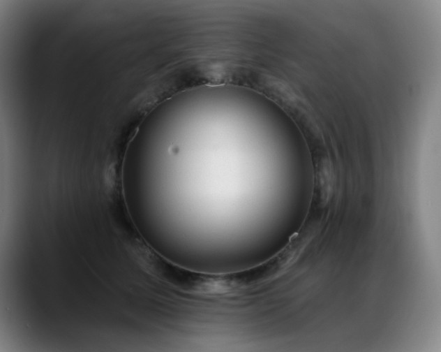 X0000089380611200706151205