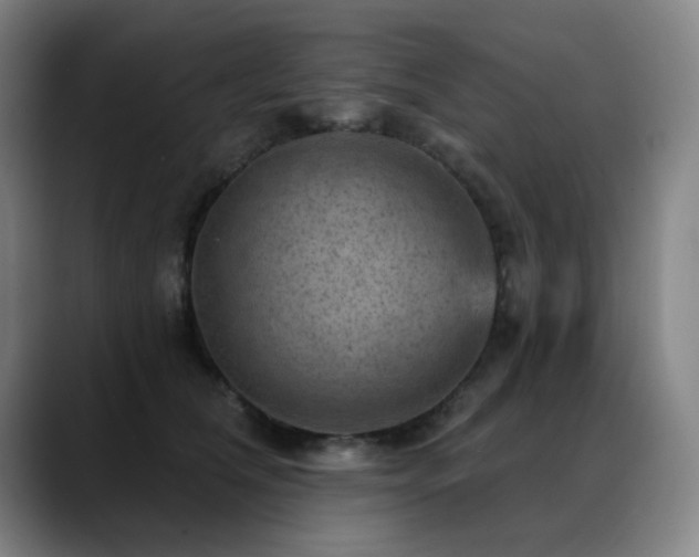 X0000089380612200706151205