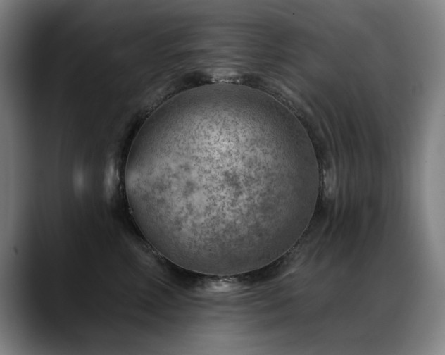 X0000089380618200706151205