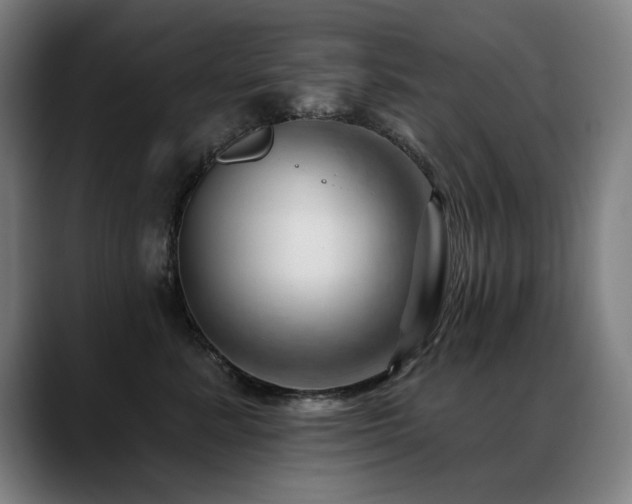X0000089380619200706151205
