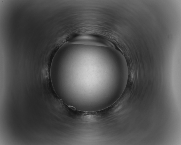 X0000089380620200706151205