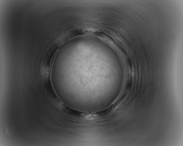 X0000089380621200706151205