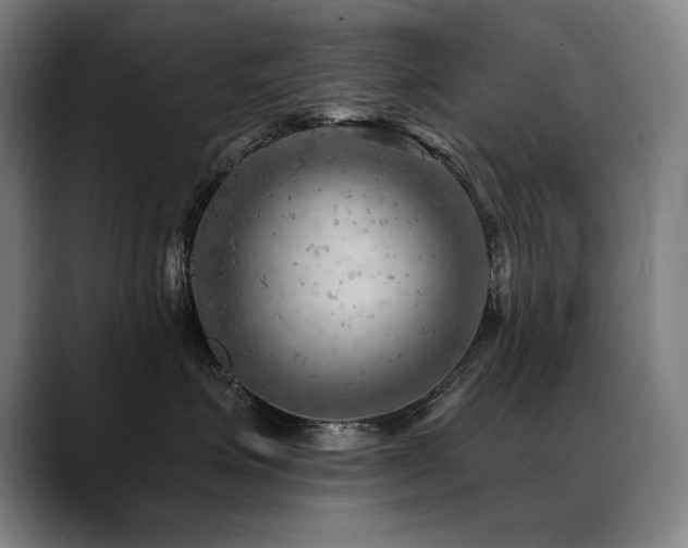 X0000089380623200706151205