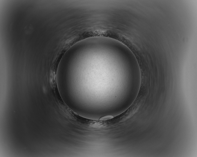 X0000089380624200706151205