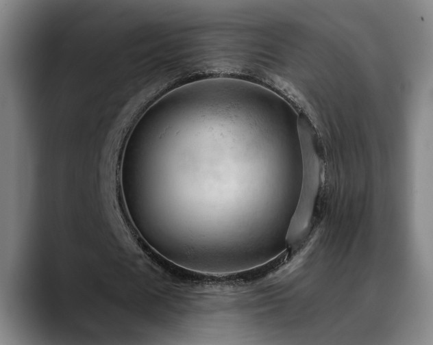 X0000089380625200706151205