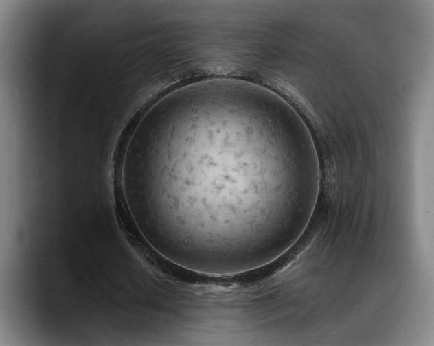 X0000089380626200706151205