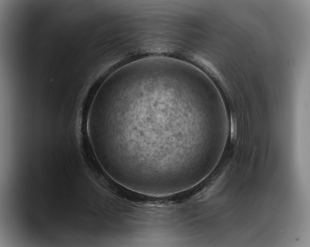 X0000089380627200706151205