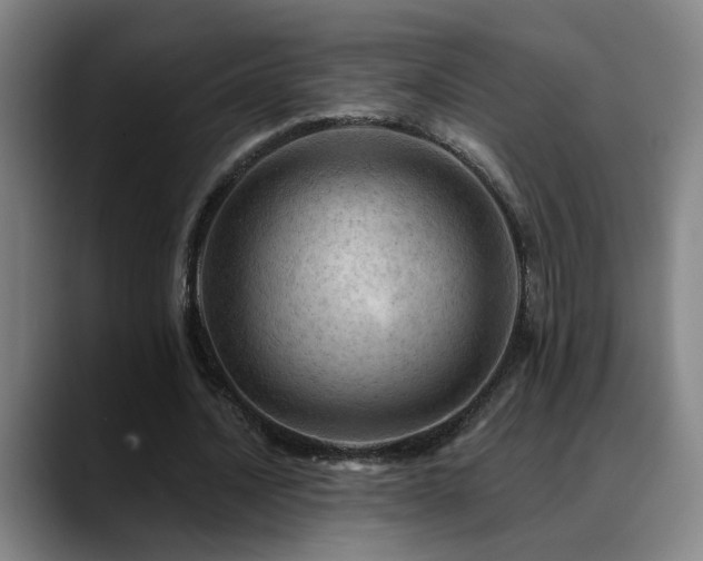 X0000089380628200706151205