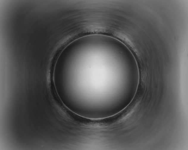 X0000089380629200706151205