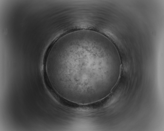 X0000089380630200706151205