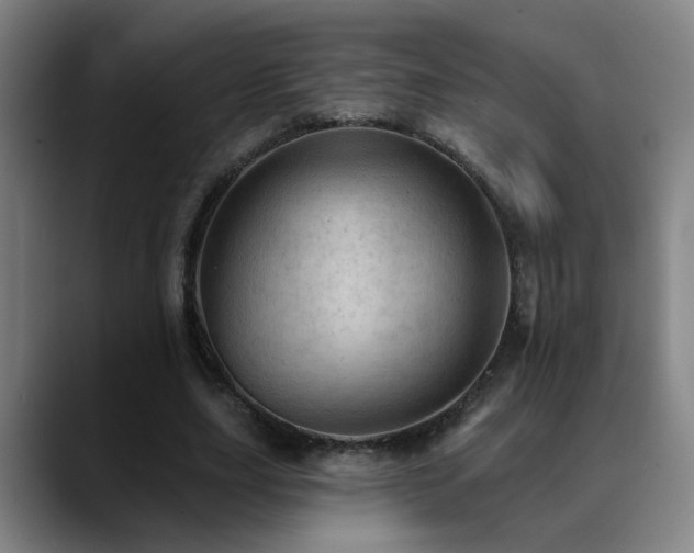 X0000089380631200706151205