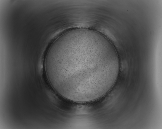 X0000089380632200706151205