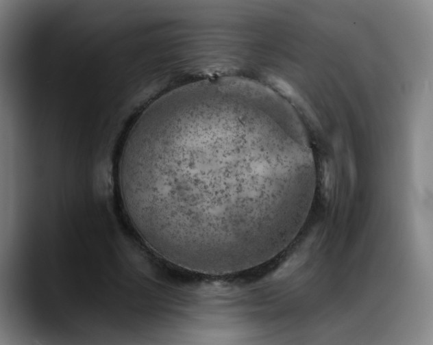 X0000089380634200706151205