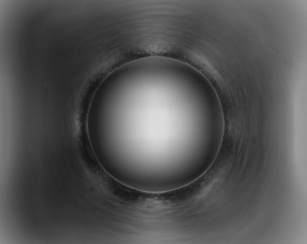 X0000089380635200706151205