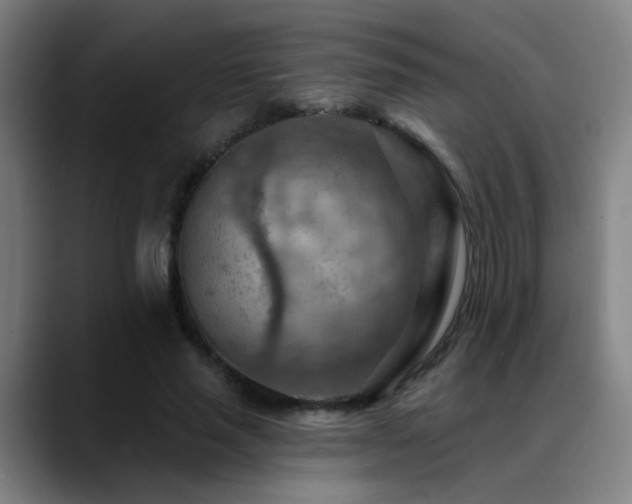 X0000089380637200706151205