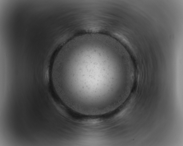 X0000089380638200706151205
