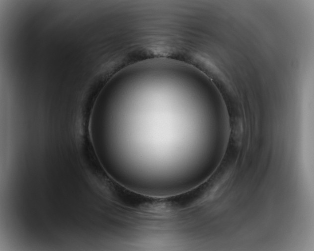 X0000089380639200706151205
