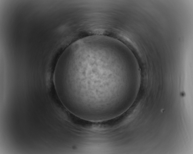 X0000089380641200706151205