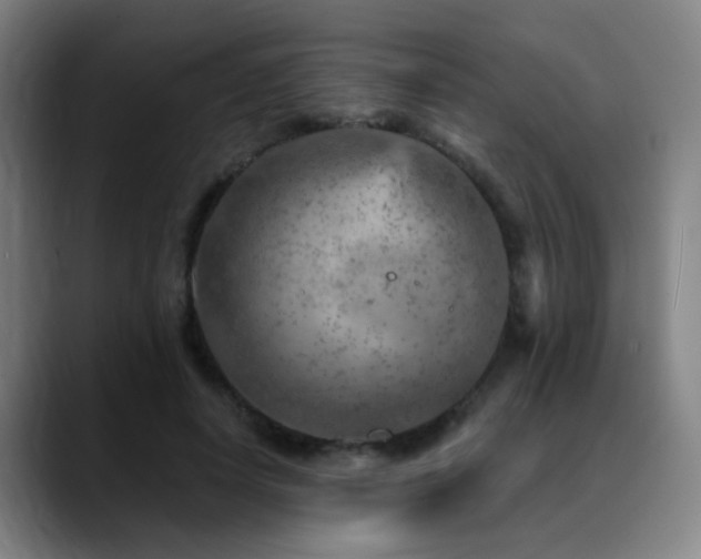 X0000089380642200706151205
