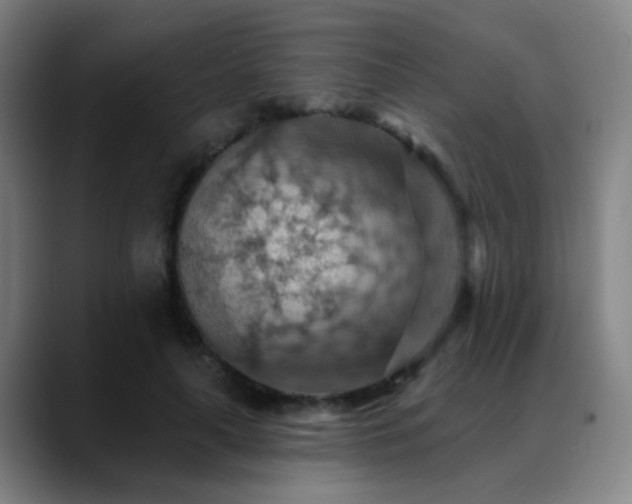 X0000089380643200706151205