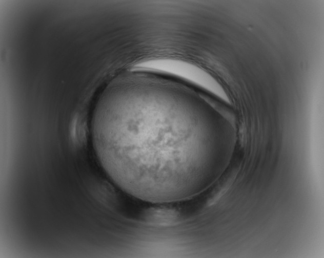 X0000089380644200706151205