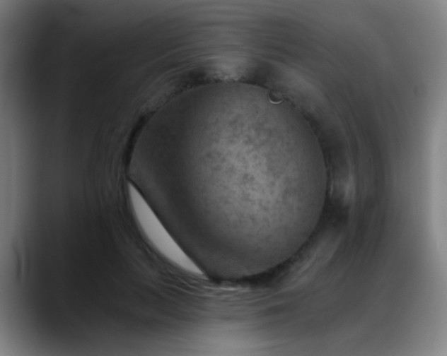 X0000089380647200706151205