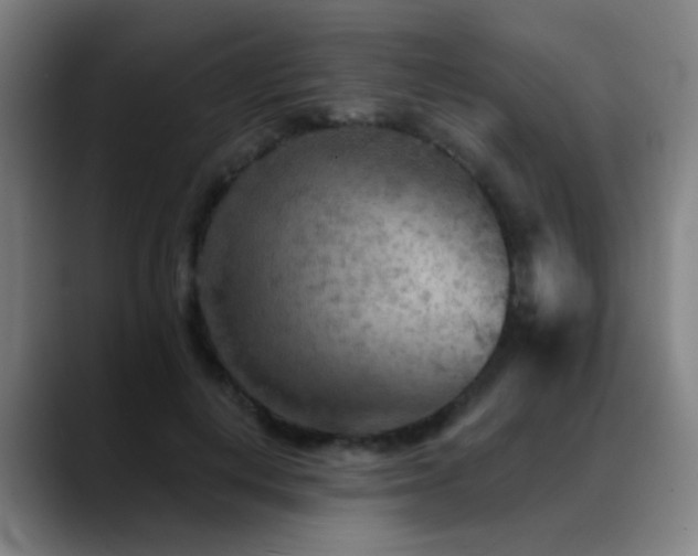 X0000089380648200706151205