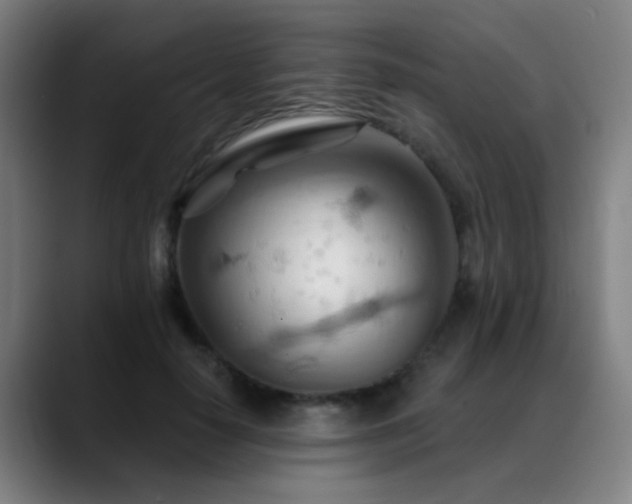 X0000089380650200706151205