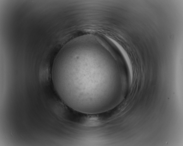 X0000089380651200706151205