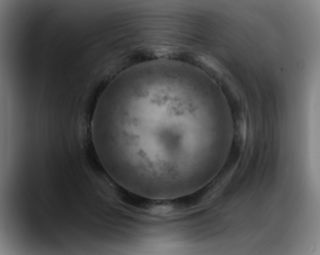 X0000089380653200706151205
