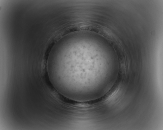 X0000089380654200706151205
