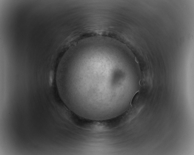 X0000089380656200706151205