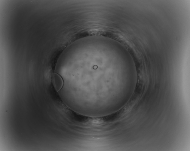 X0000089380659200706151205