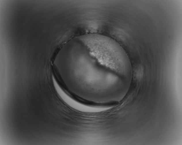 X0000089380661200706151205