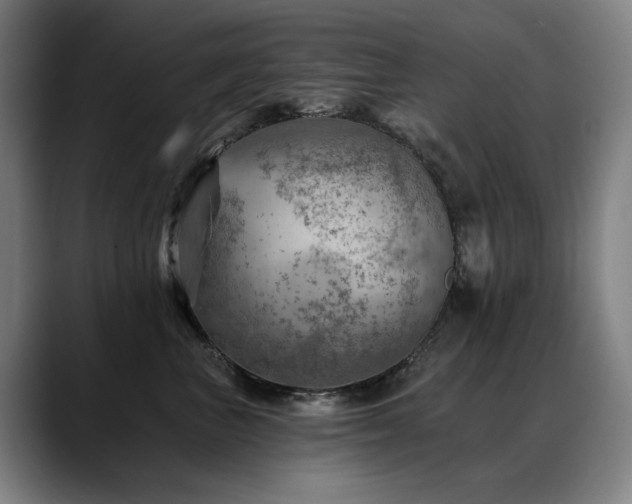 X0000089380667200706151205