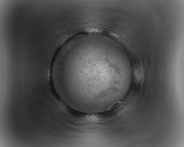 X0000089380668200706151205