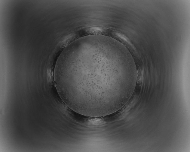X0000089380669200706151205
